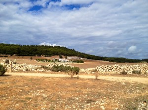 imagen menorca campo
